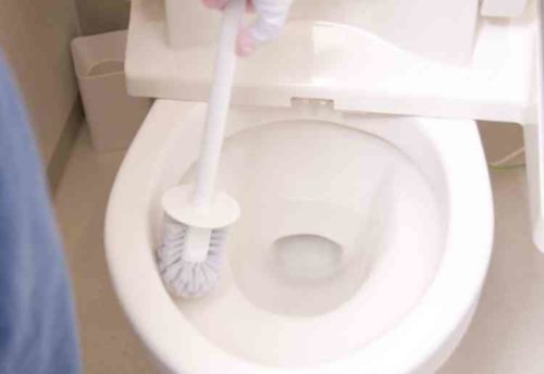 トイレ掃除道具 ブラシ