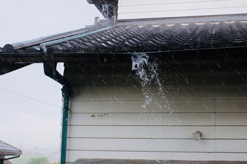 雨樋掃除を業者に依頼すべき症状・トラブル