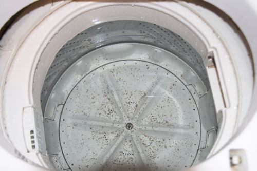 洗濯槽の掃除の頻度