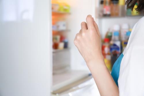 冷蔵庫が臭い原因