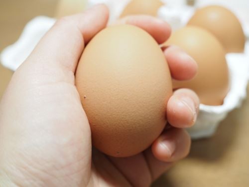 ゆで卵より生卵のほうが賞味期限が長い